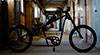 Solos Custom Bike DOGGISH