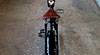 Solos Custom Bike DOGGISH