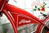 Solos Custom FLORIDA