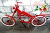 Solos Custom FLORIDA