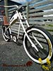 Solos Custom MAMMOTH